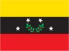 Bandera del Estado Táchira