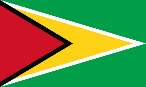 Archivo:Guyana bandera.png