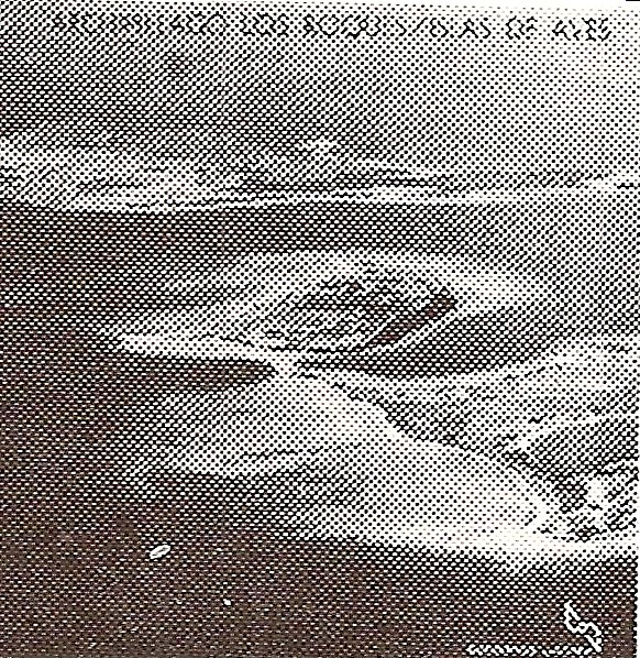 Archivo:Archipielago Los Roques Isla de Aves.jpg
