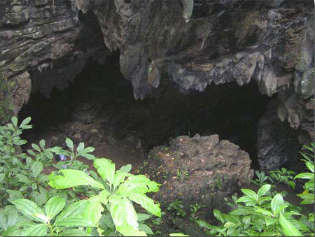 Archivo:Entrada de la cueva alfredo jahn.jpg