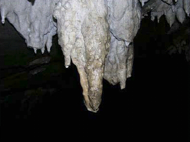 Archivo:Estalactitas en Cueva Alfredo jahn.jpg