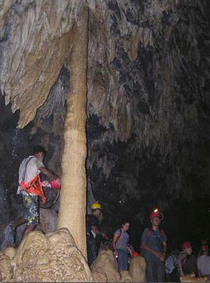 El chaguaramo cueva alfredo jahn.jpg