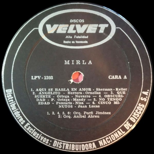 Archivo:Mirla-mirla-lado a.jpg