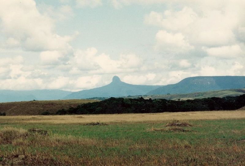 Archivo:Parai tepuy 1.jpg