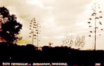 Crepúsculo en Barquisimeto-Lara-Venezuela.jpg