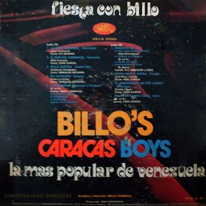 Billo fiesta-trasera.jpg