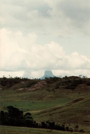 Parai tepuy 2.jpg