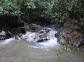 Quebrada el cambural.jpg