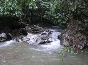 Quebrada el cambural.jpg