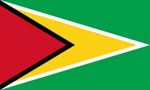 Bandera de Guyana.jpg