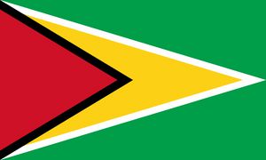 Bandera de Guyana.jpg