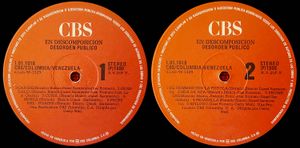 Desorden-publico-en descomposicion-vinilos.jpg