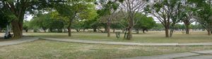 Parque del Este de Barquisimeto 2.jpg