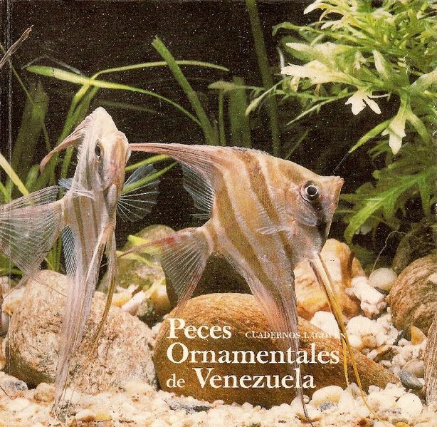 Archivo:Peces ornamentales de Venezuela.jpg