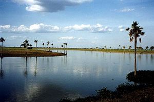 Estero en el Hato Pinero.jpg