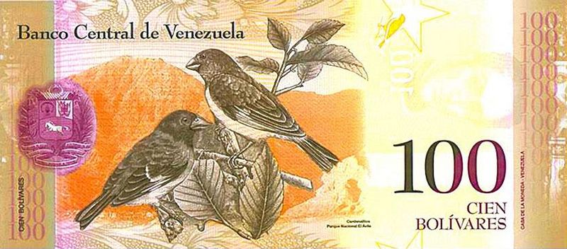 Archivo:100 bolivares fuertes reverso.jpg