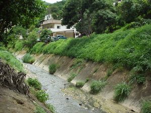 Quebrada de Caricuao.jpg