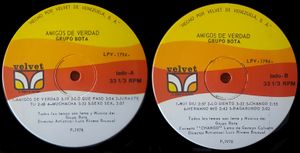 Grupo-bota-amigos-de-verdad-vinilos.jpg