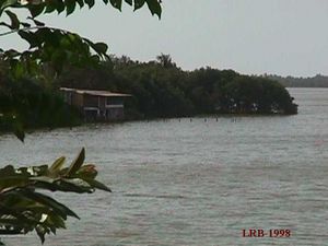 Laguna de Piritu 5.jpg