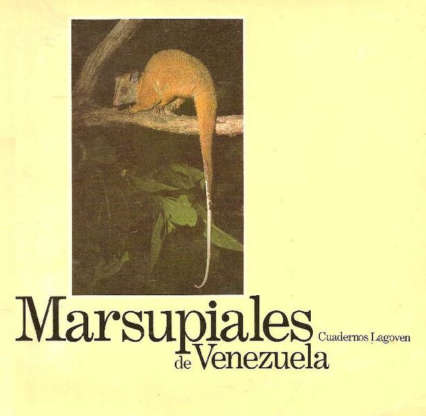 Archivo:Marsupiales de Venezuela.jpg