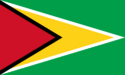 Bandera de Co-operative Republic of Guyana