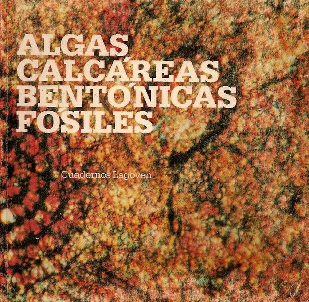 Archivo:Algas calcareas bentonicas fosiles.jpg