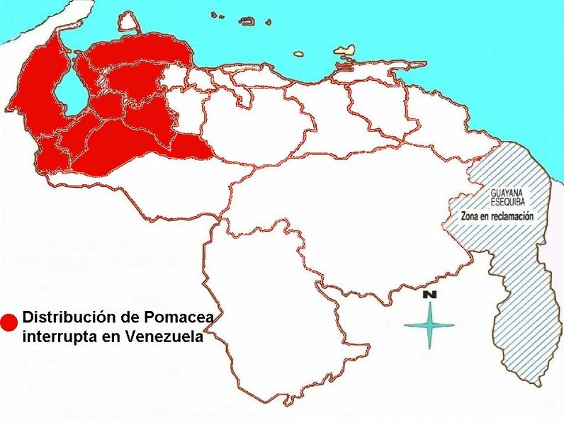 Archivo:Distribucion Pomacea interrupta 000p.jpg