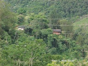 LA MATA ZONA RURAL DE EL HATILLO.jpg