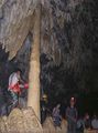 El chaguaramo cueva alfredo jahn.jpg