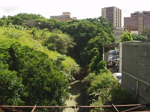 Quebrada de Baruta.jpg