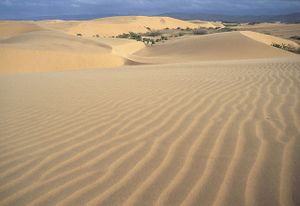 Falcon medanos.jpg