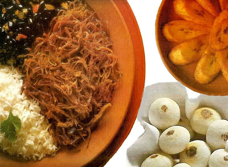 Archivo:Pabellon criollo.jpg