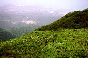 Cerro Copey.jpg